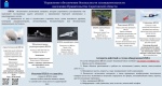 Управление обеспечения безопасности жизнедеятельности населения Правительства Саратовской области информирует граждан по алгоритму действий в случае обнаружения беспилотных летательных аппаратов.