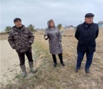  На территории детского оздоровительного лагеря «Дельфин» Ершовского района Саратовской области 20 октября состоялась акция по озеленению.